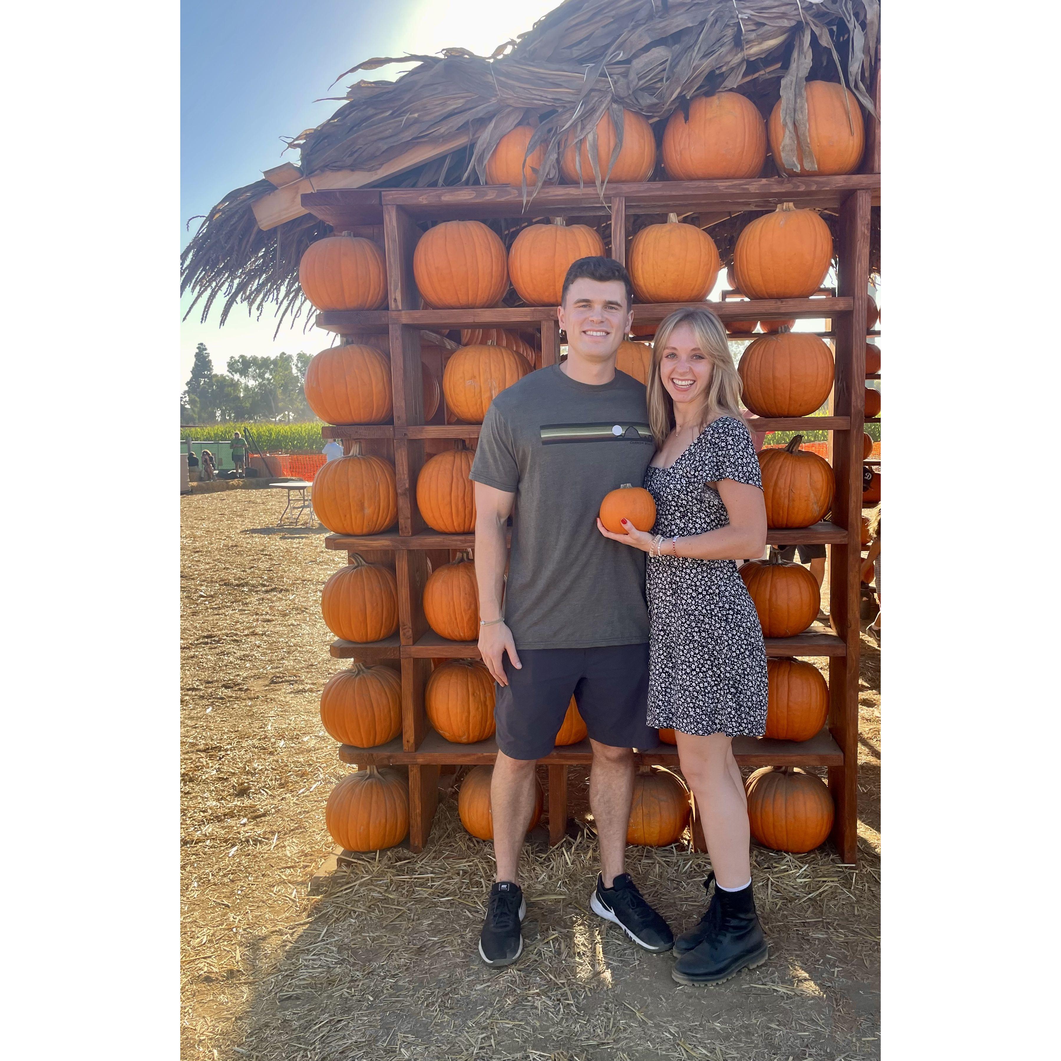 October 2023 - Pumpkin patch in Carlsbad CA!