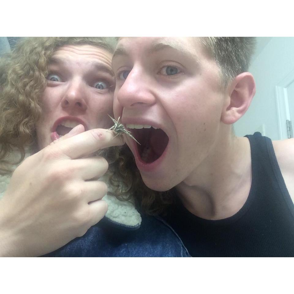No! Don't eat the moth!