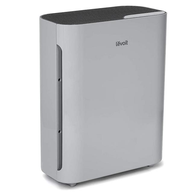 LEVOIT Air Purifier for Home Large Room with H13 True HEPA Filter Cleaner for Allergies and Pets, Smokers, Mold, Pollen, Dust, Quiet Odor Eliminators for Bedroom, 1-Pack, Gray