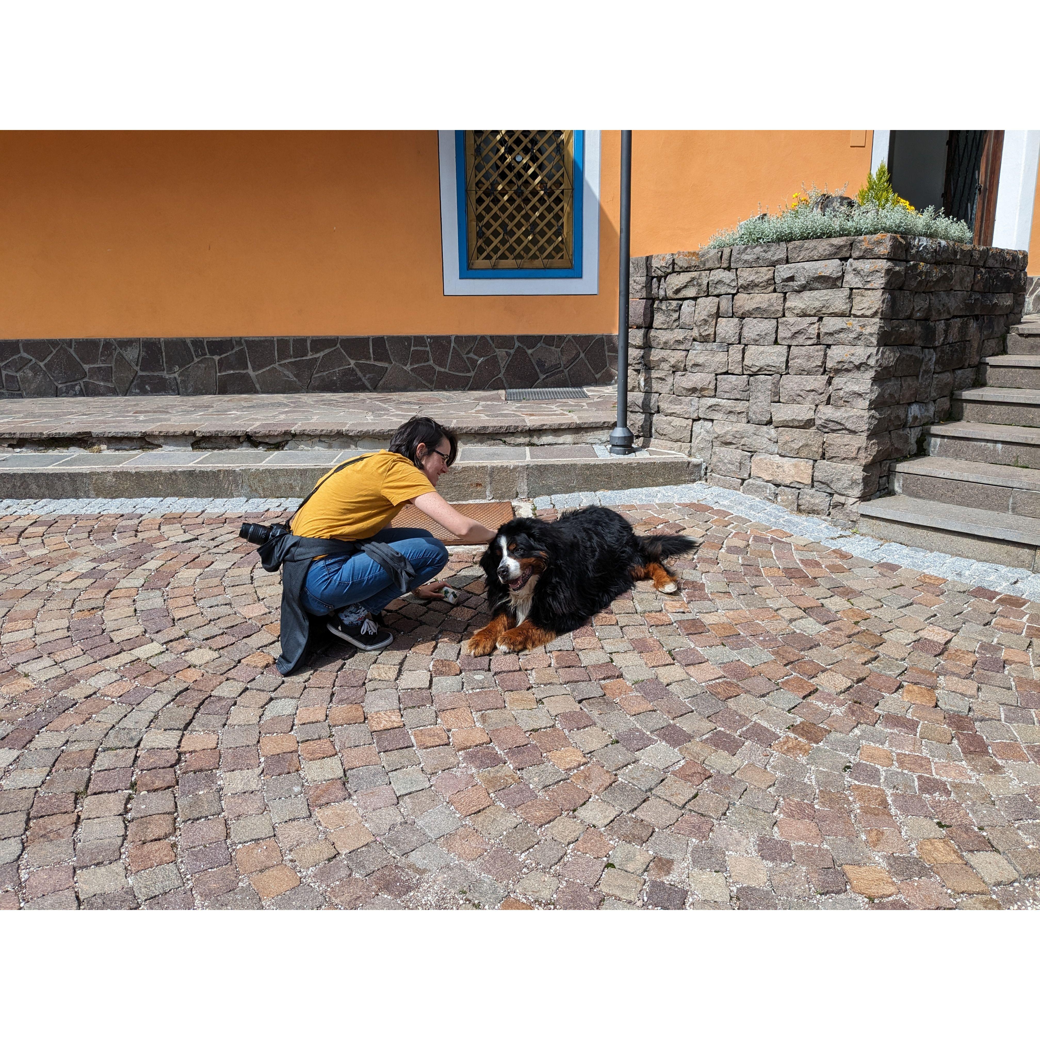 doggocino