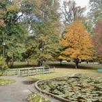 Central Park Trail