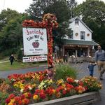 Jericho Cider Mill