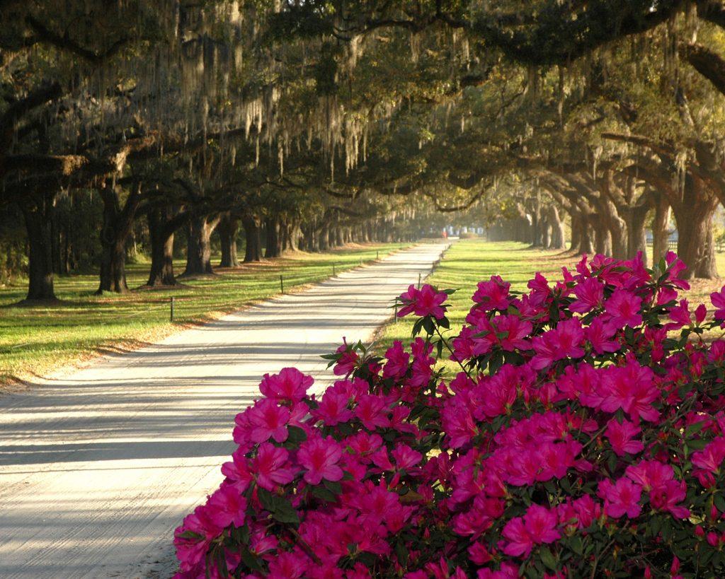 The Wedding Website of Megan Book and John Hartman