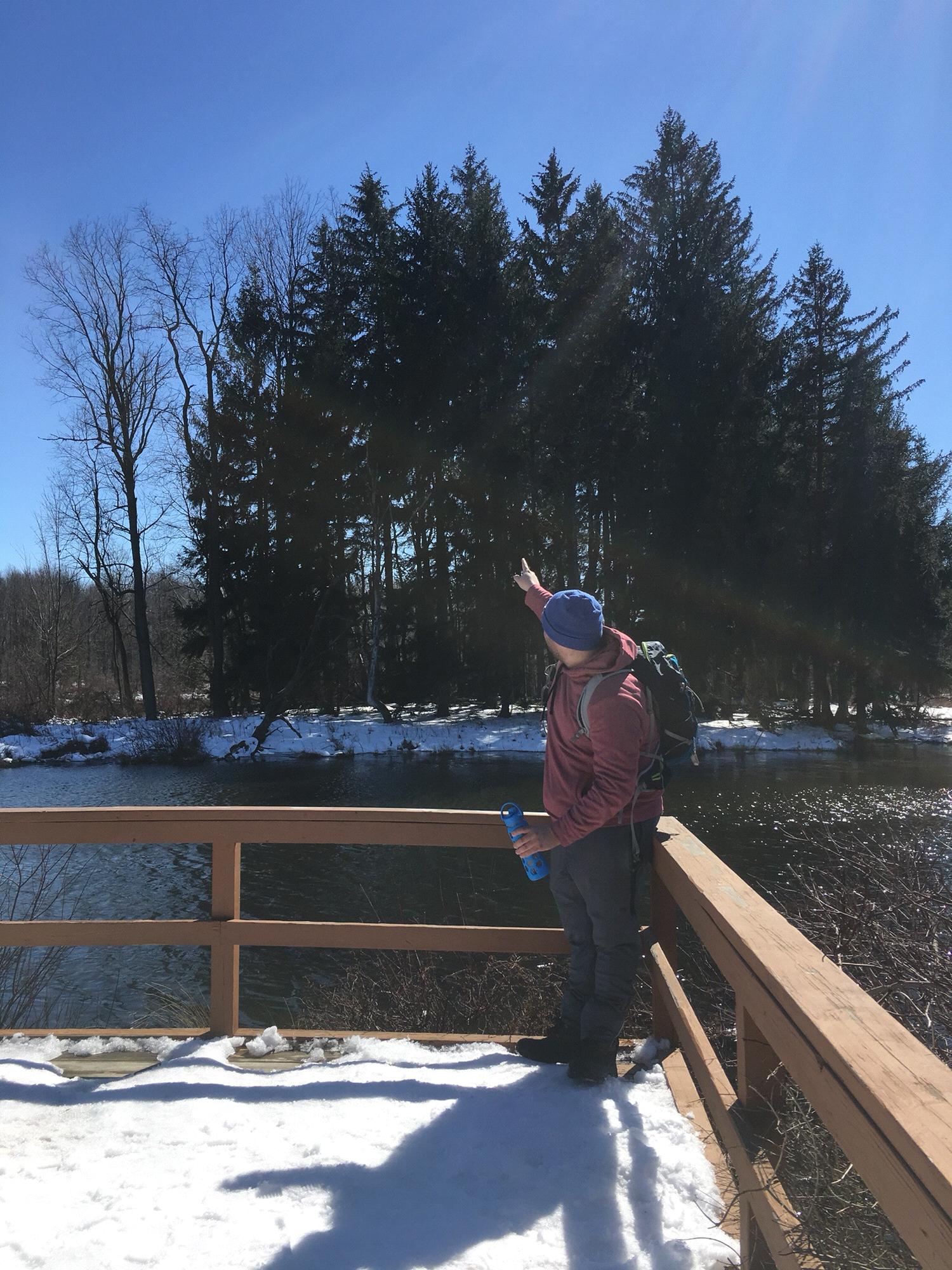 Hiking at Reinstein Woods in the Winter