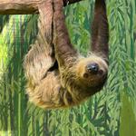 Catoctin Wildlife Preserve