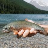 Fishing