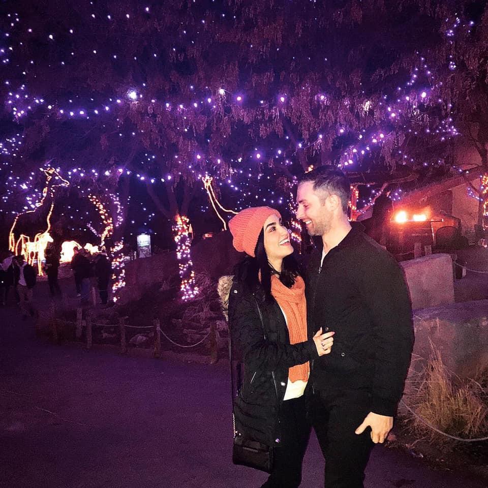 Zoo lights in Denver