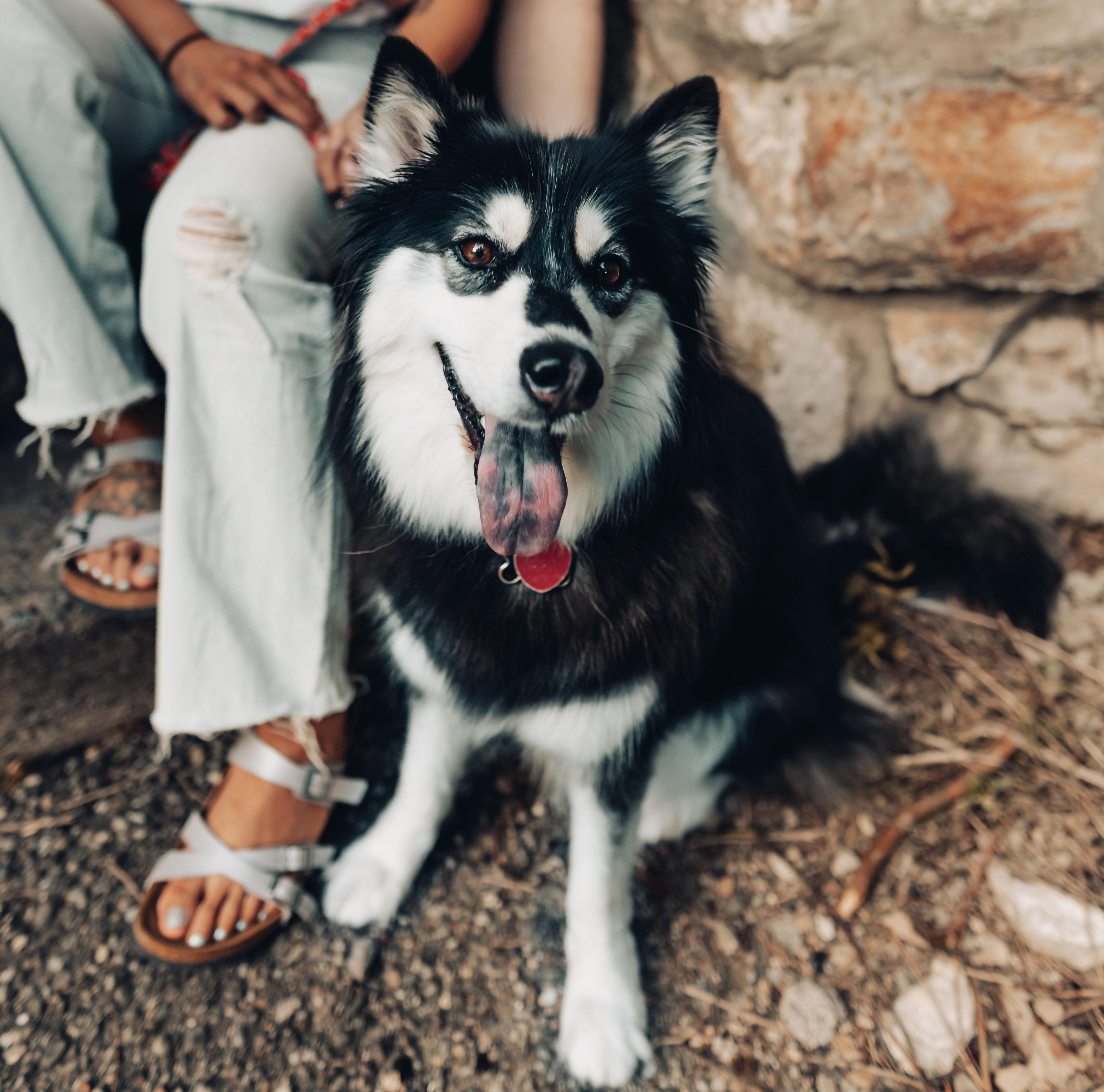 The Wedding Website of Melanie Biason and Cody Ruff
