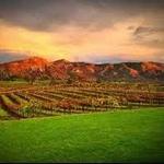 Orfila Vineyards and Winery