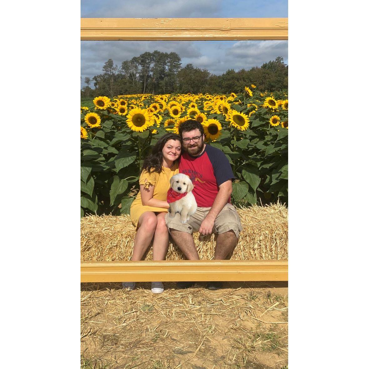 Please get Bethany a dog