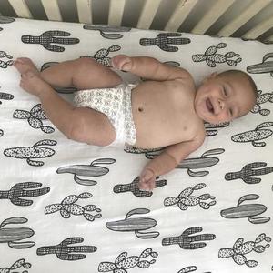 Cactus Organic CRIB Sheet
