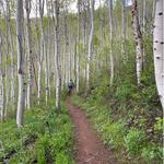 Local Hikes - A Few Short Hikes Around Town