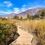 Oak Glen Preserve