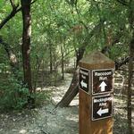 Arbor Hills Nature Preserve