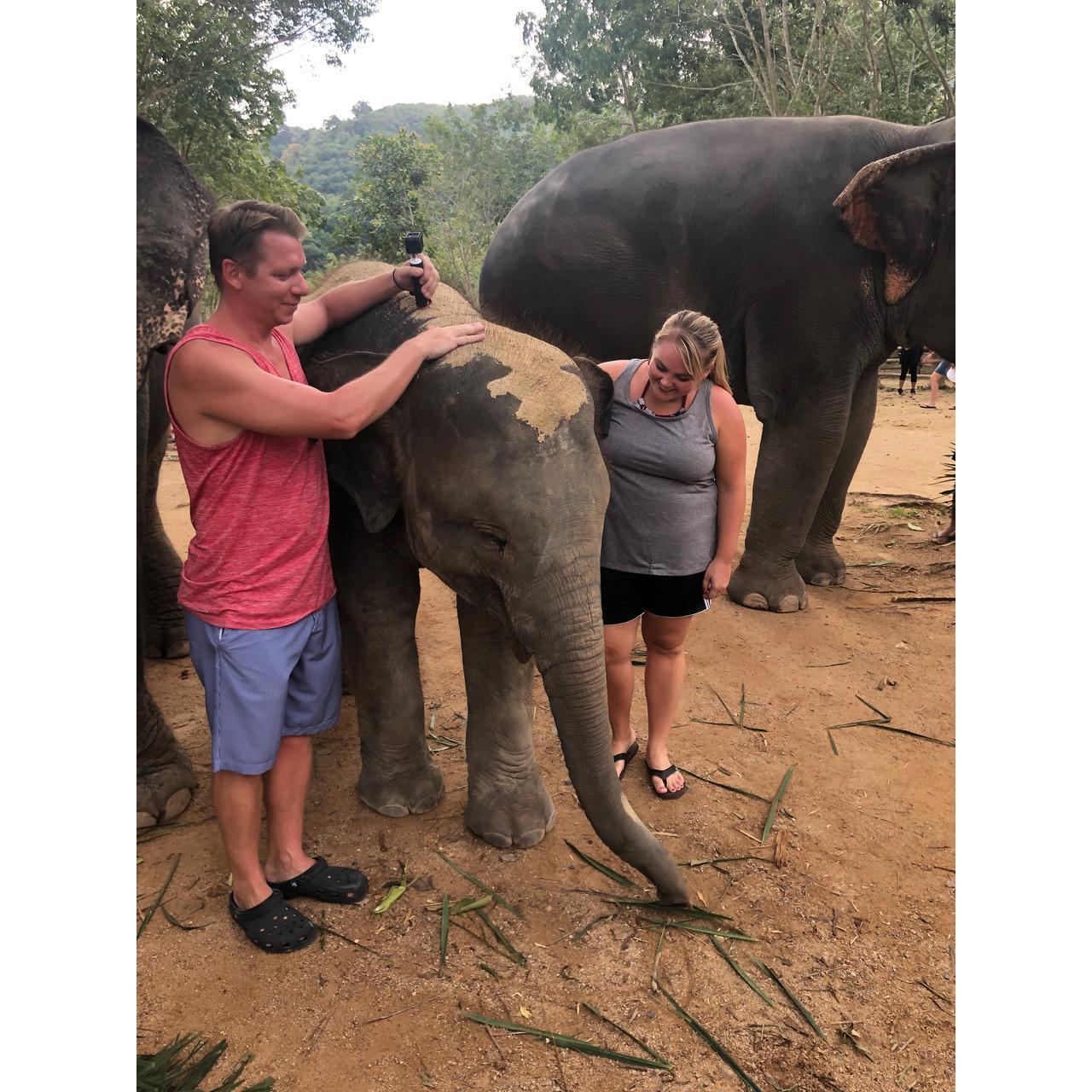 One of my favorite days! Playing with elephants in Phuket