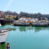 Noyo Fish Company