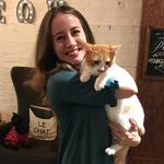 Pounce Cat Cafe + Wine Bar