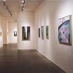 Georgia O'Keeffe Museum