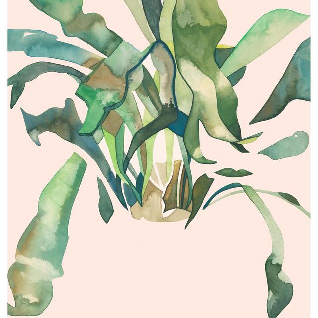 STAGHORN 2 12x16 (Giclée Print of Original Watercolor Painting Illustration Wall Art Home Decor Gift Staghorn Fern Houseplant)