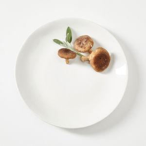 Salgada Glazed Ceramic Dinner Plate, Set of 4