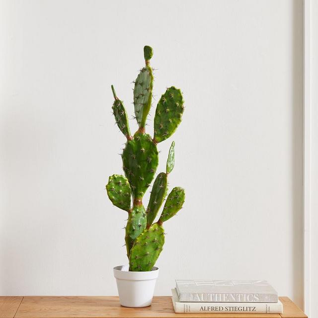 Faux Potted Flat Cactus Plant, 36"