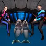 Georgia Aquarium