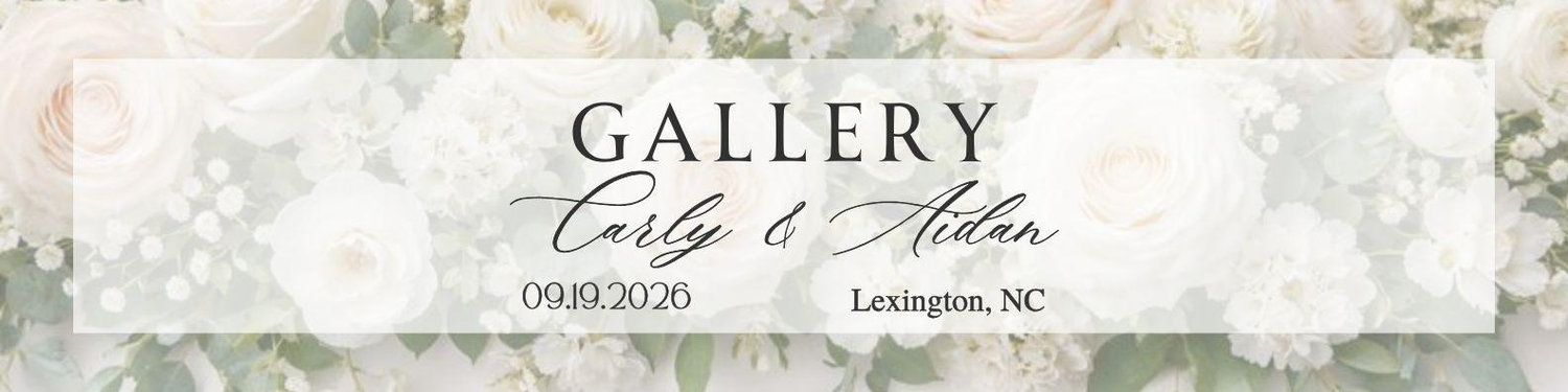 The Wedding Website of Carly Sokal and Aidan Brown