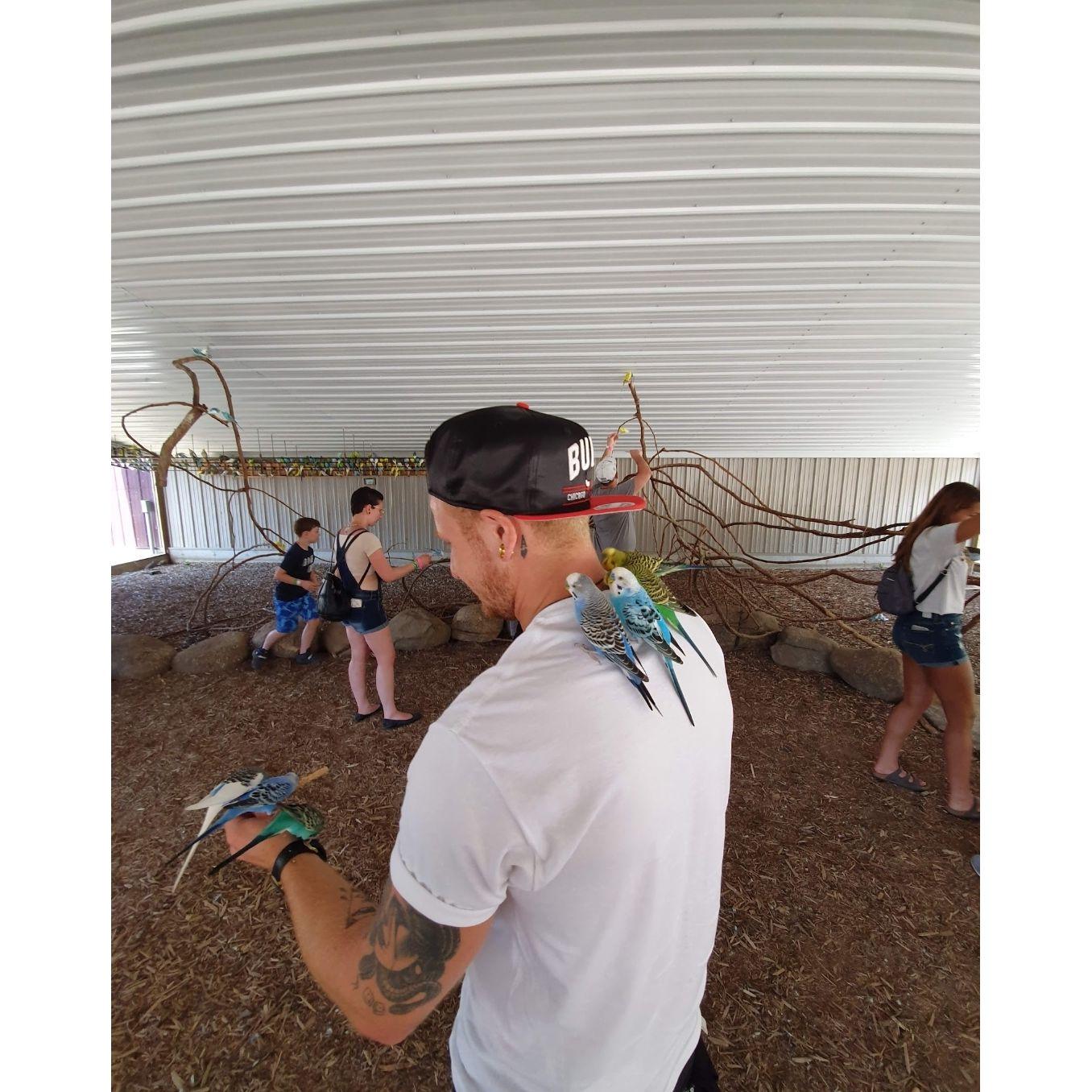 Wisconsin Dells 2020