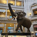 Smithsonian National Museum of Natural History