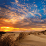 Jockey's Ridge State Park
