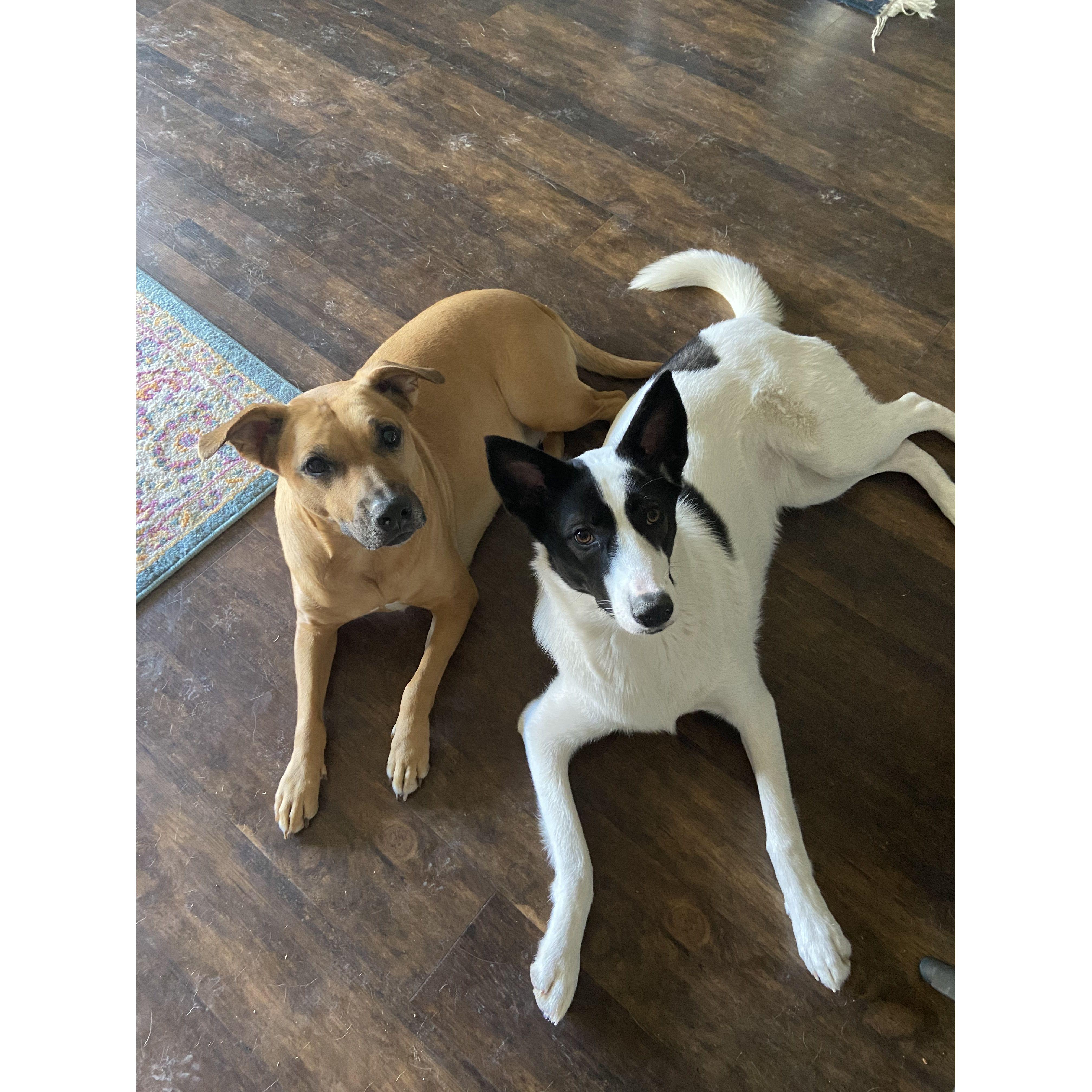 Layla and her Cousin Lilith