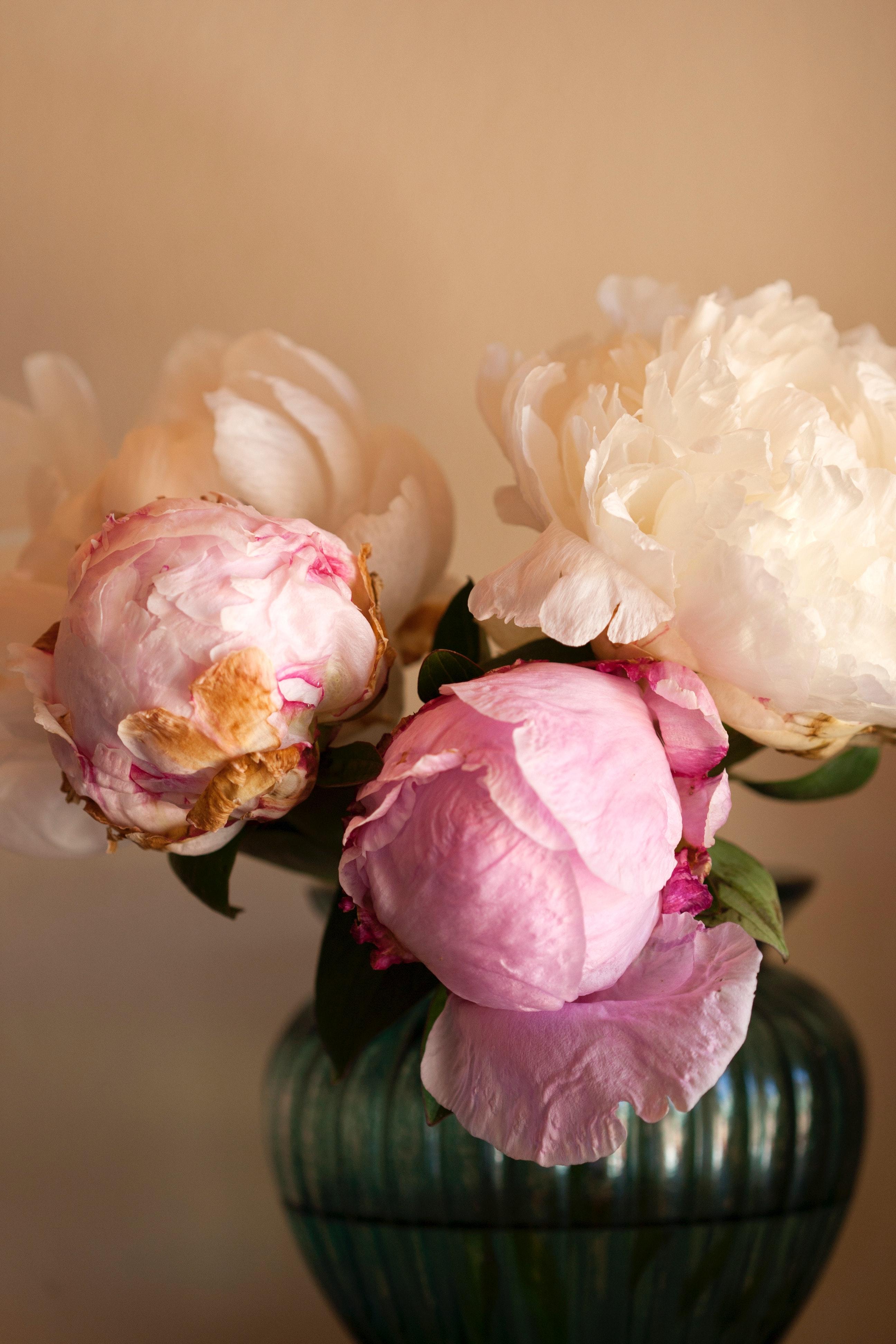 The Wedding Website of Quinn Biberstine and Joseph Van Zandt