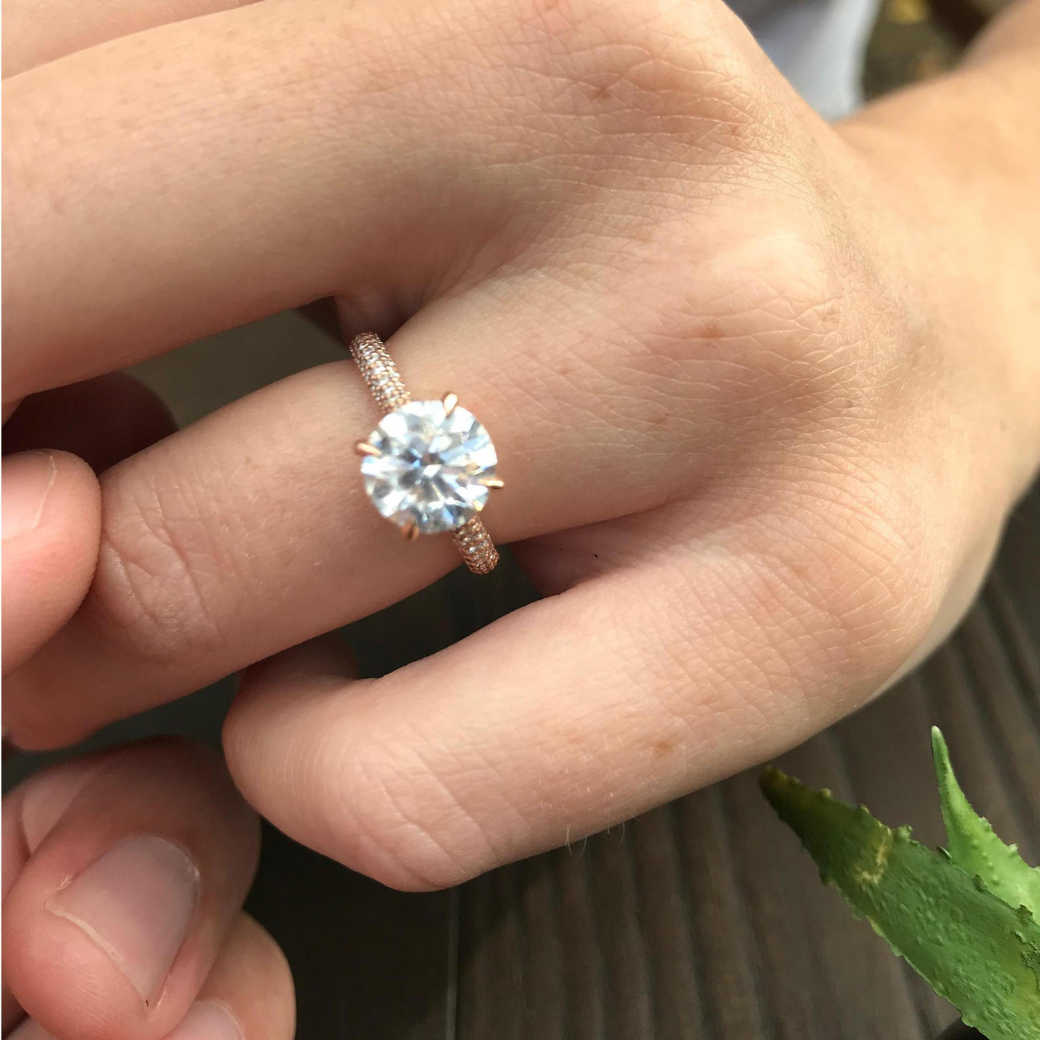 Her answer was YES! - Maui - Winter 2017