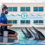 Clearwater Marine Aquarium