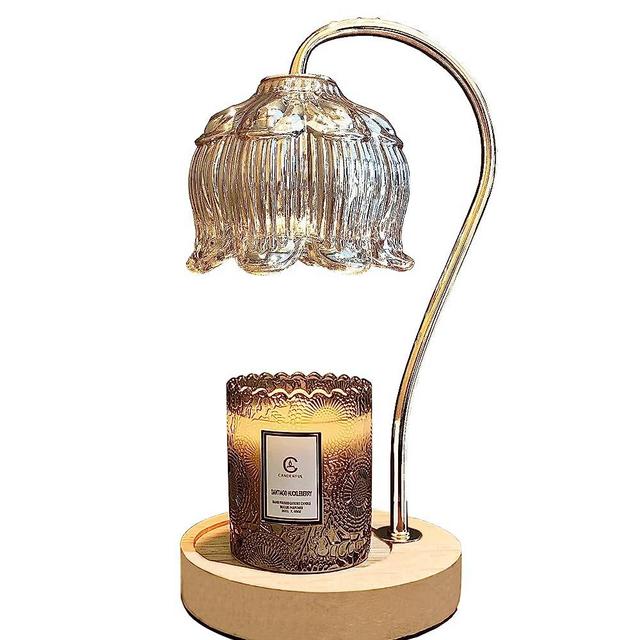 BINLIFA Candle Warmer Lamp, Electric Candle Melt Warmer Compatible with Large Jar Candles (Wooden)