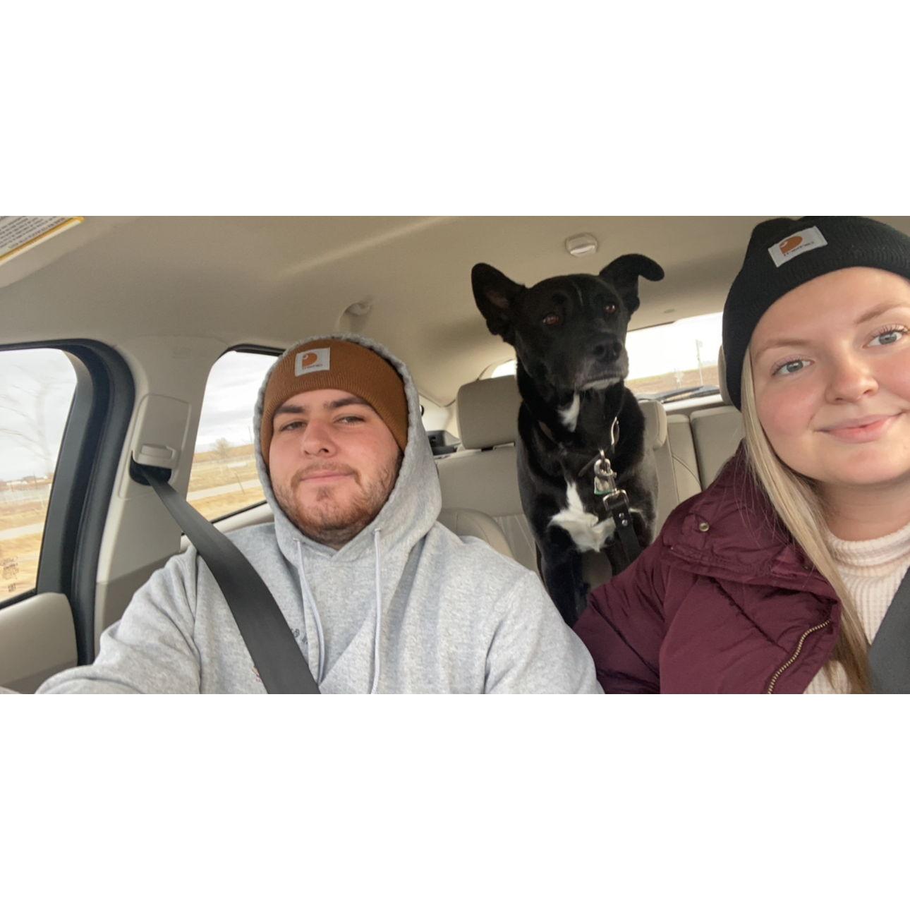 Chilly days in North Dakota! -40 wind chill doesnt stop Pharaoh from needing to go to the dog park lol