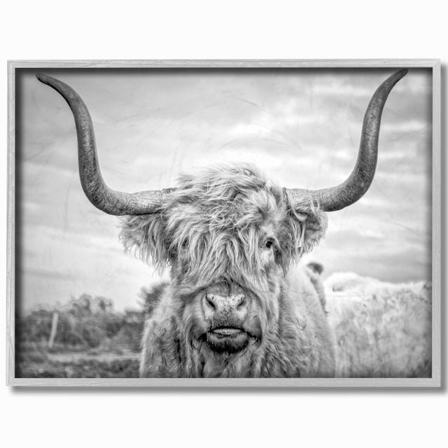 The Stupell Home Decor Black and White Highland Cow Photograph Gray Framed Texturized Art