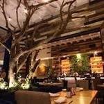 Barttola Brasserie
