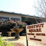 Historic McKinney Farmers Market at Chestnut Square