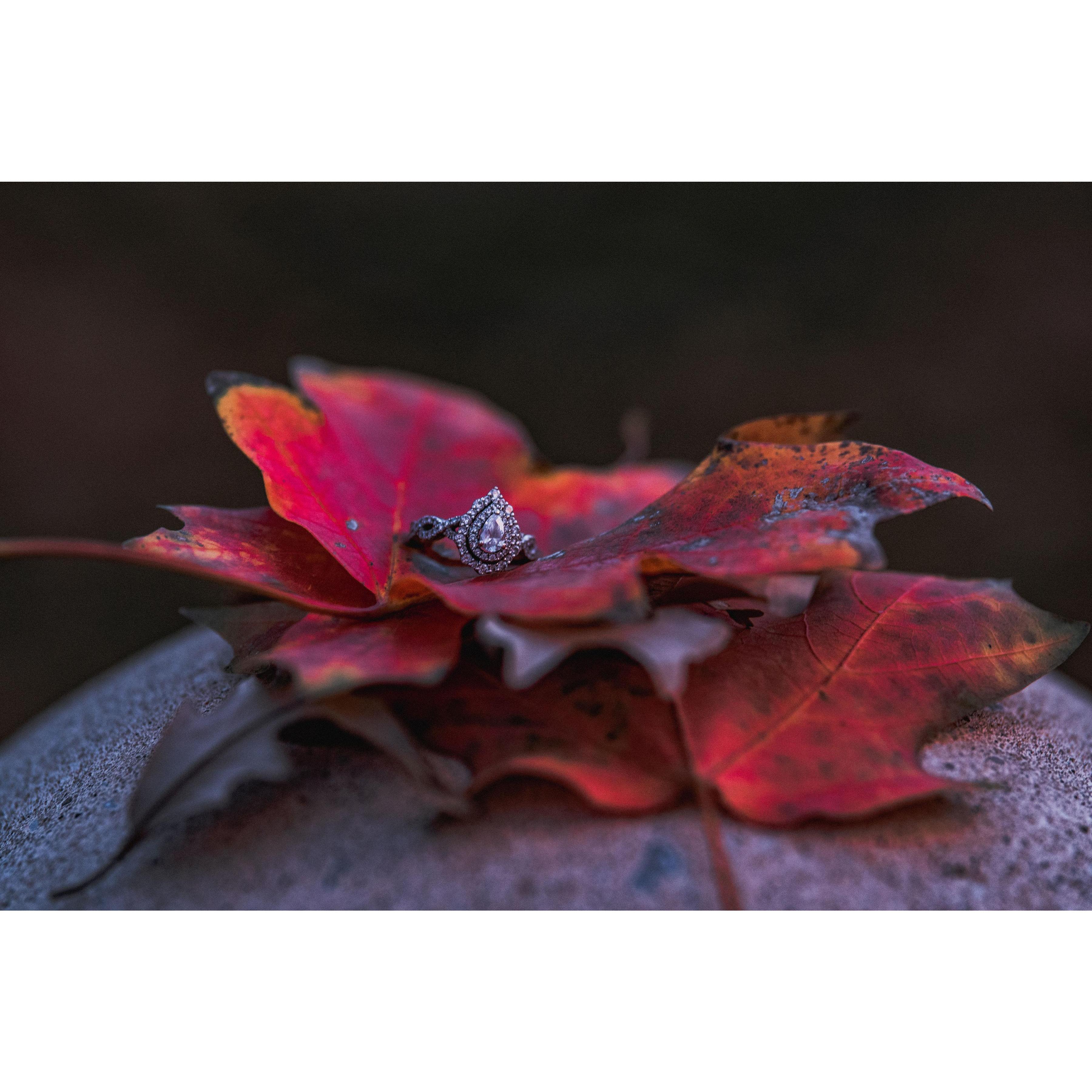 Fall leaves create a gorgeous base!