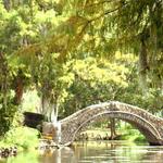 City Park