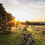 Cedar Mountain Battlefield