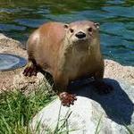 Columbian Park Zoo