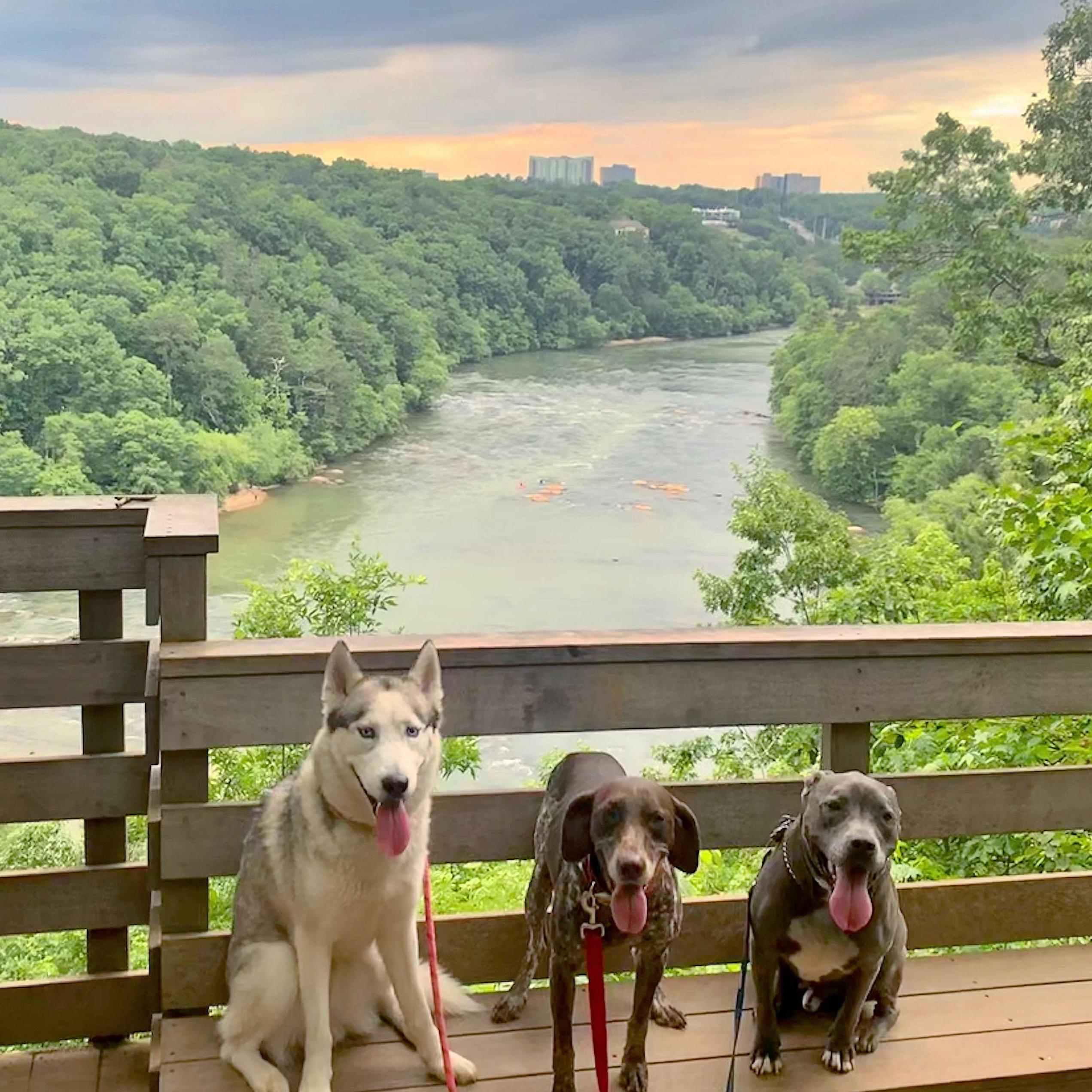 "Social distancing" hikes along the Chattahoochee