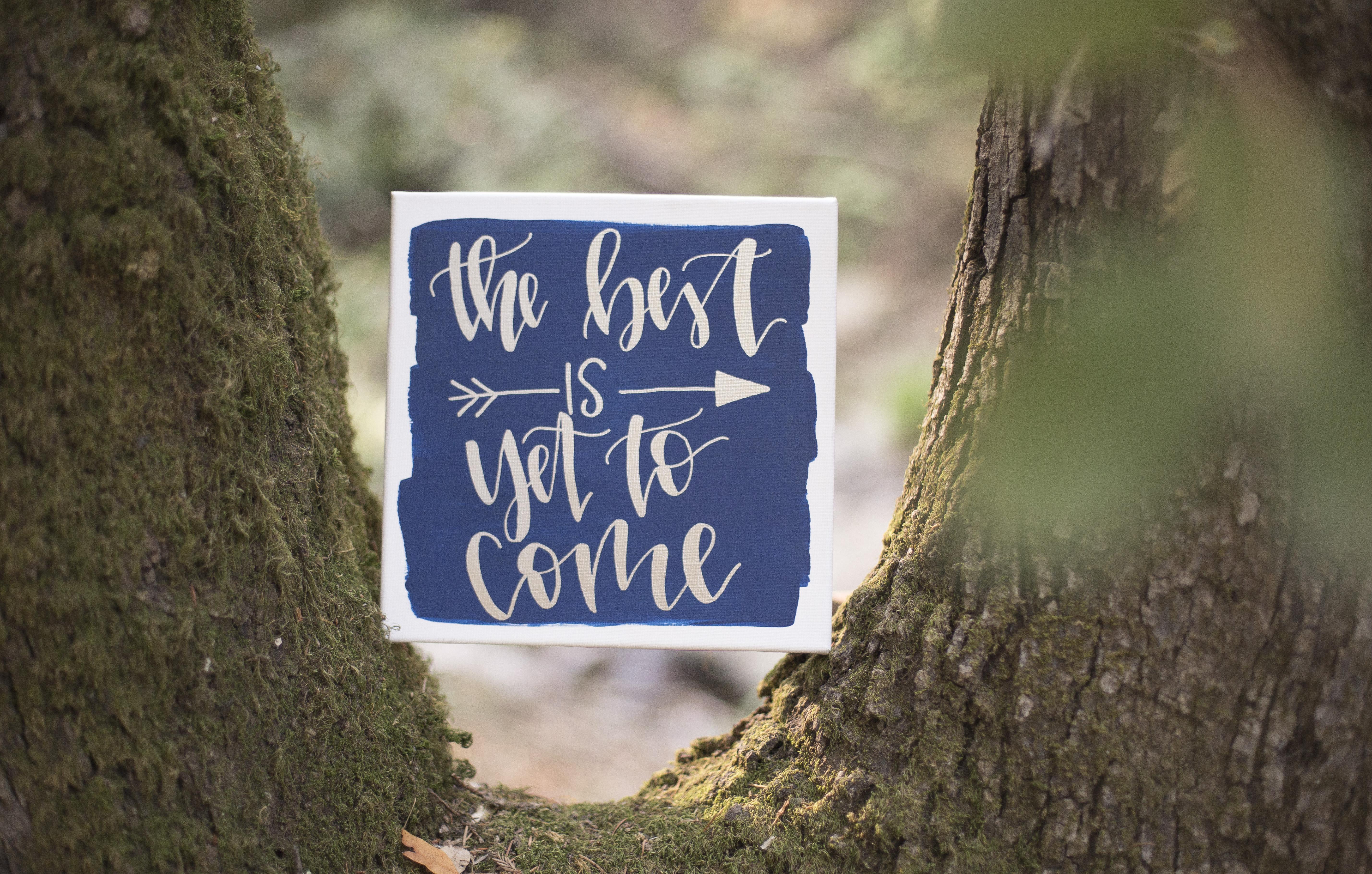 The Wedding Website of Lindsey Berkebile and Jake Burner