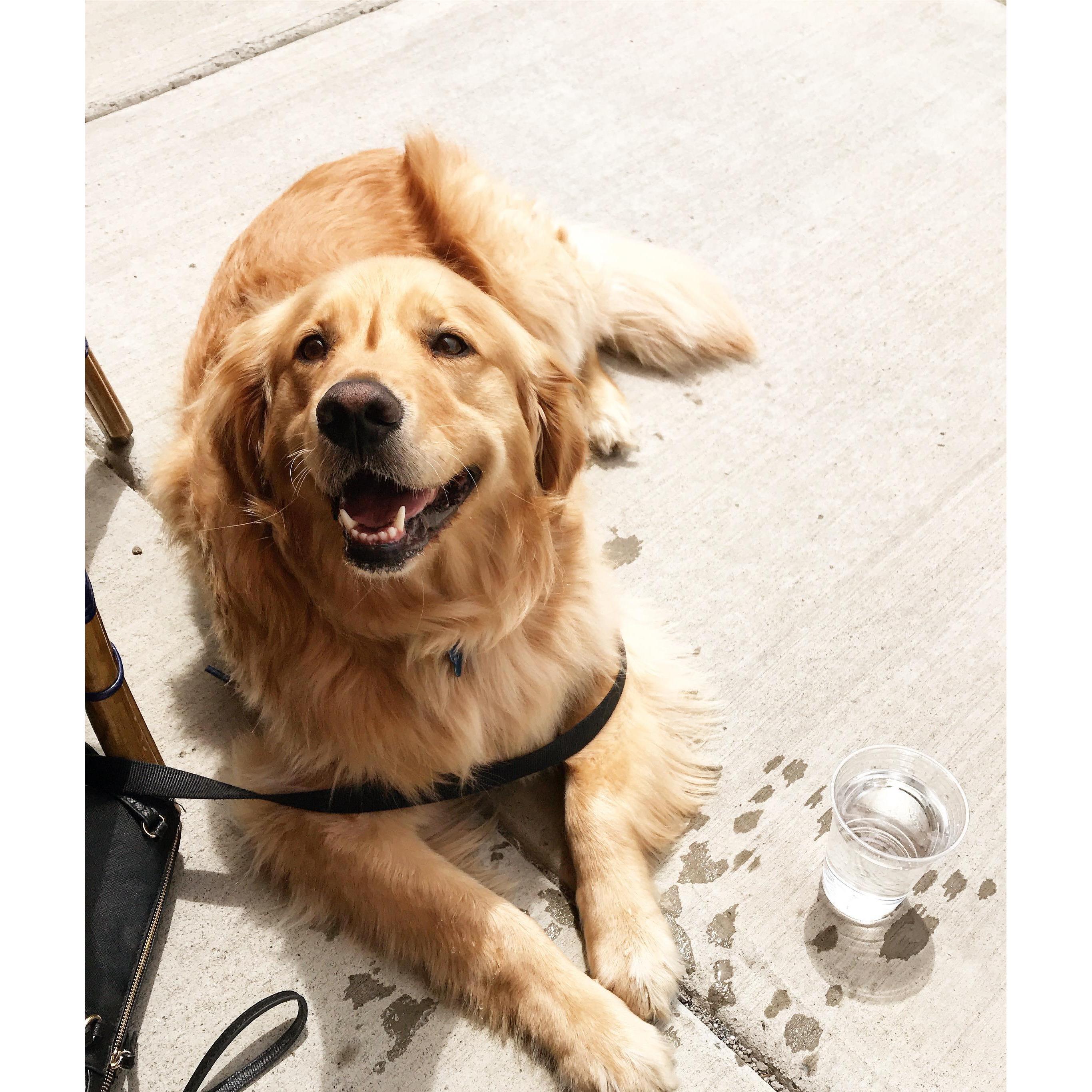 Very good boy