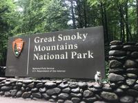 The Gatlinburg Trail