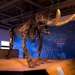 Mid-America Science Museum