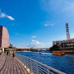 Tampa Riverwalk
