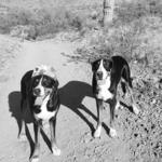 Hiking at South Mountain